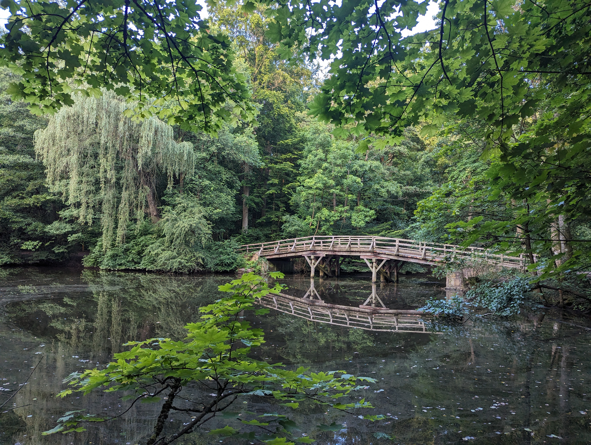 bridge